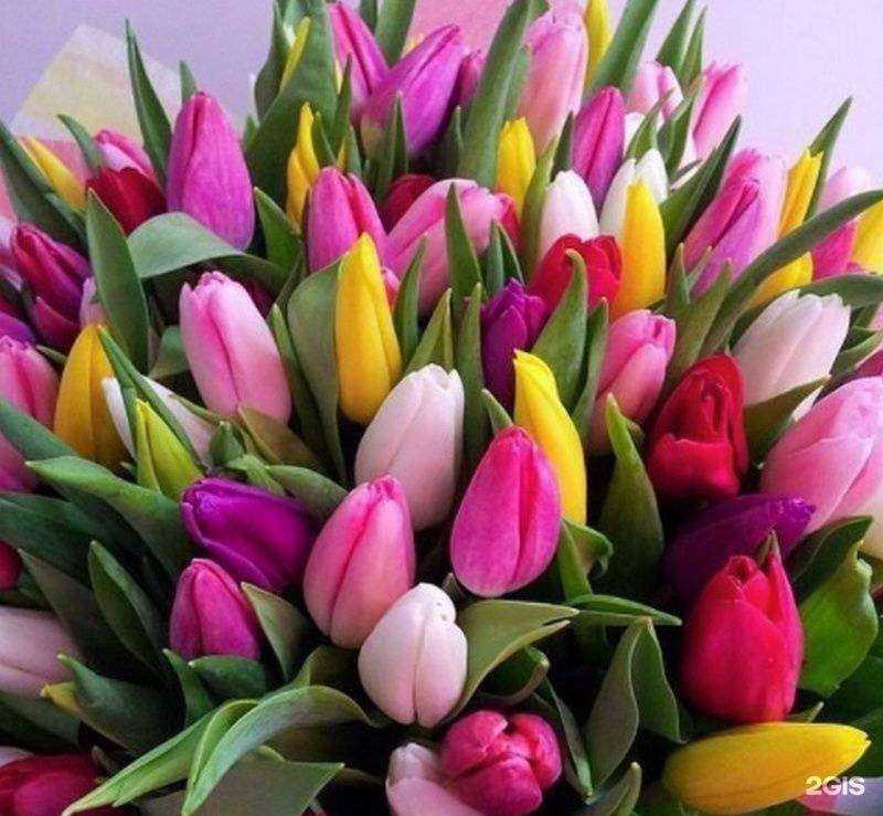 Отзывы на компанию Flora 71 в Туле c фото