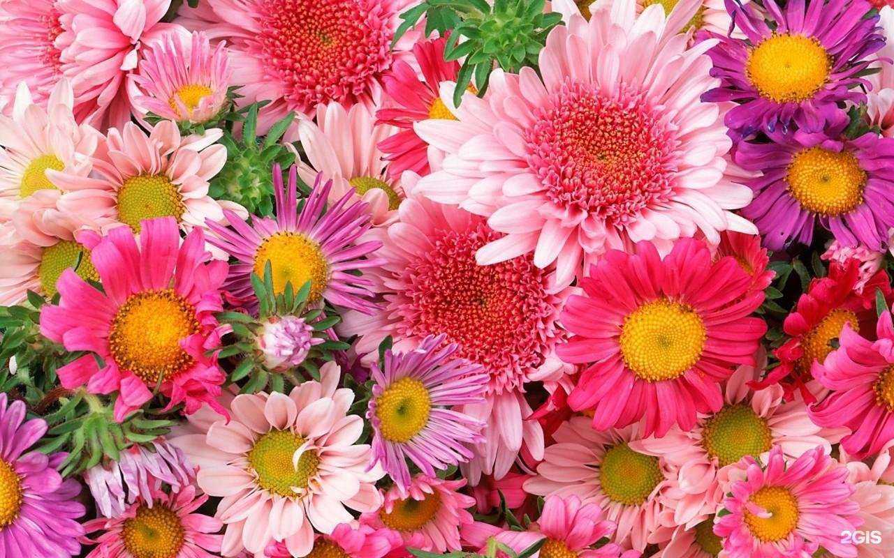 Отзывы на компанию Детский сад №273 в Ижевске c фото