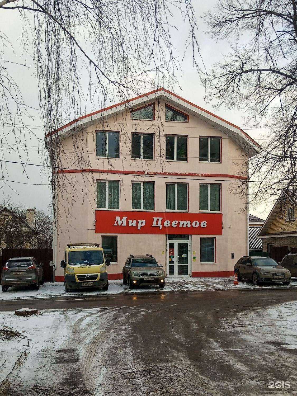 Отзывы на компанию Мир цветов в Туле c фото - фотография 2 из 2