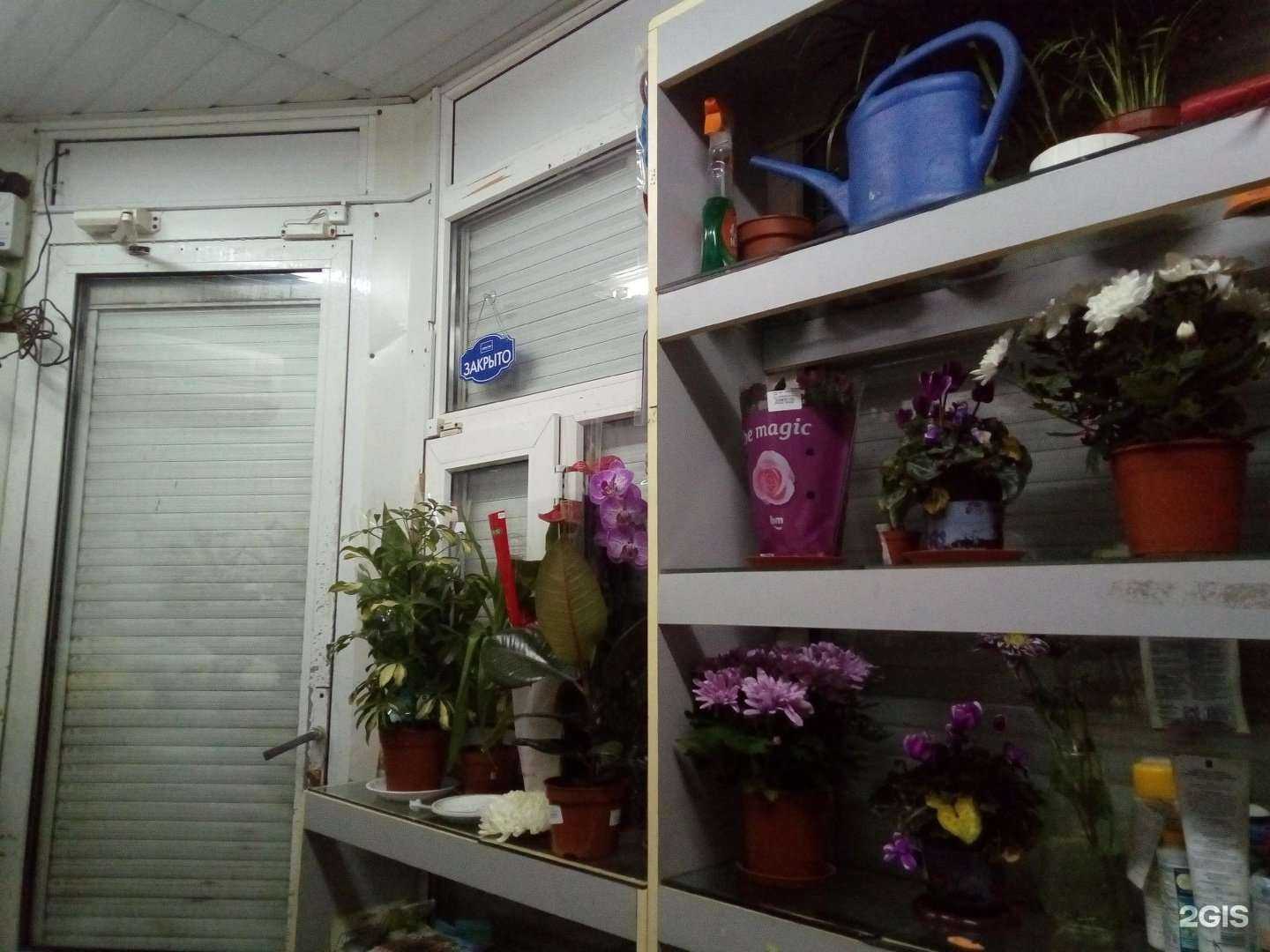 Отзывы на компанию Салон цветов в г. Уфа c фото
