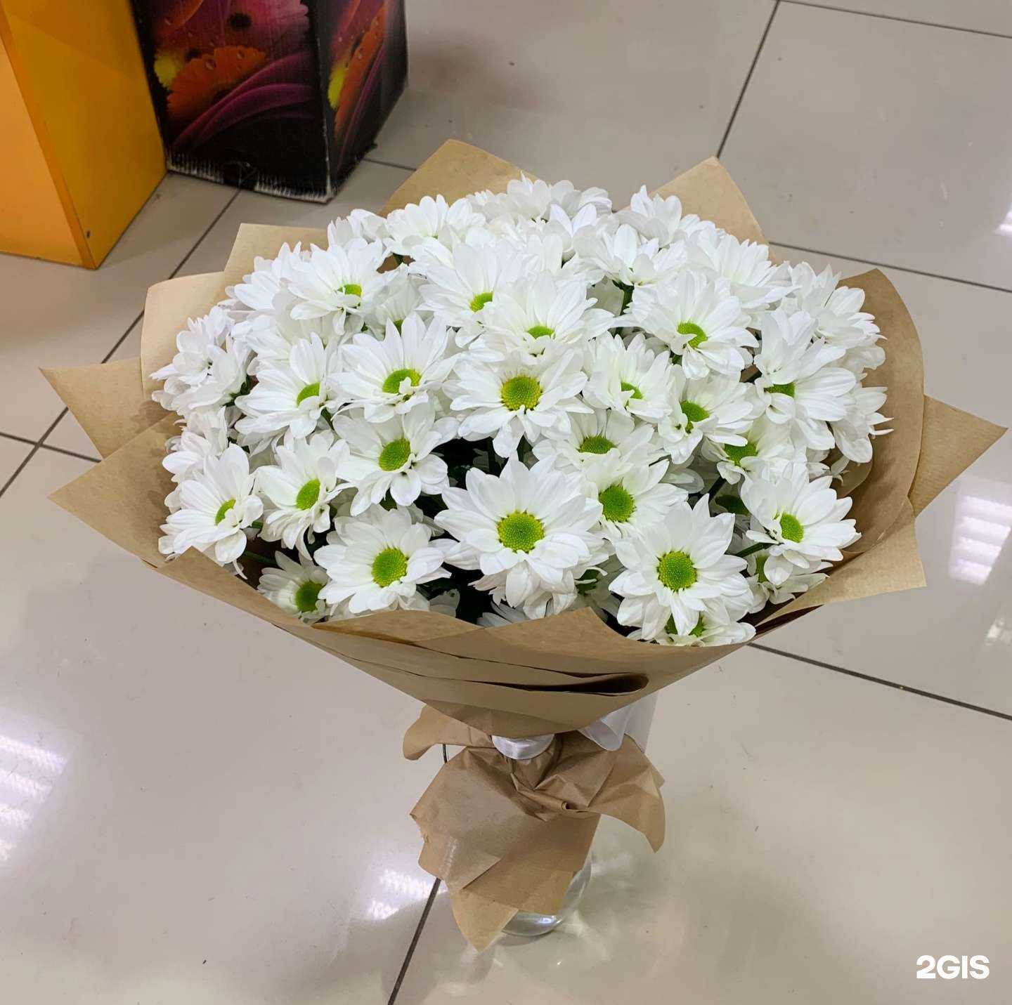 Отзывы на компанию Татьяна в Петрозаводске c фото