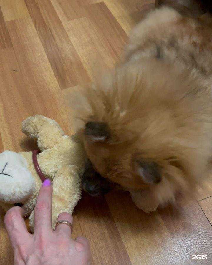 Отзывы на компанию Кеша в Смоленске c фото