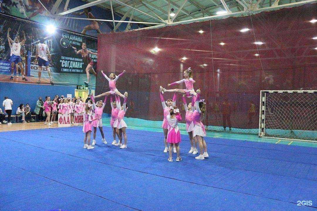 Отзывы на компанию Фламинго в г. Северск c фото