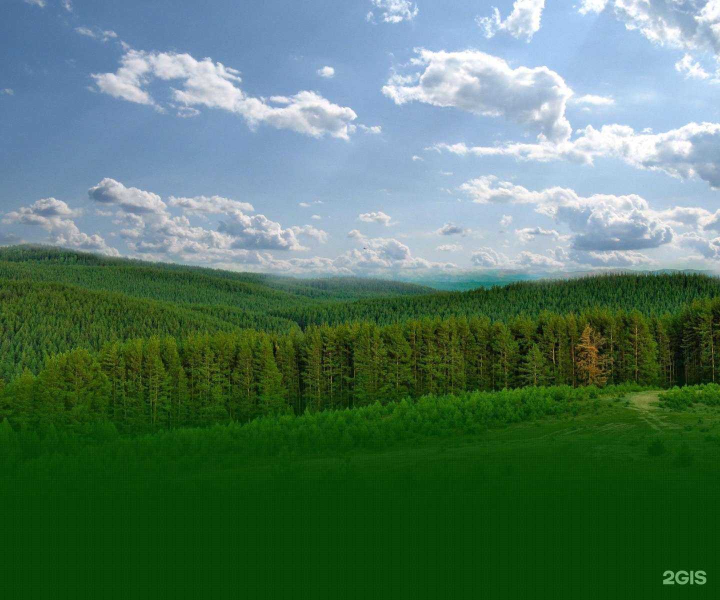 Отзывы на компанию 7 Сосен в Орле c фото