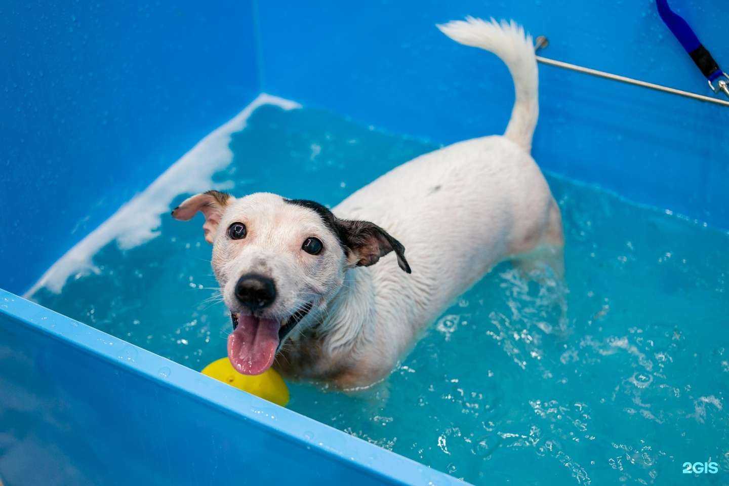 Отзывы на компанию Mr.Big`s в Отрадном c фото