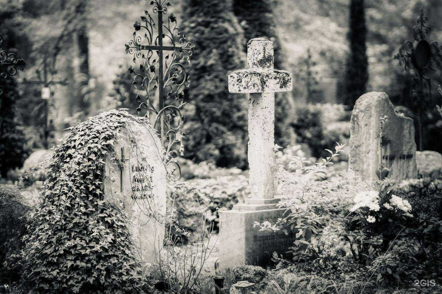 Отзывы на компанию Первая ритуальная компания в Ярославле c фото