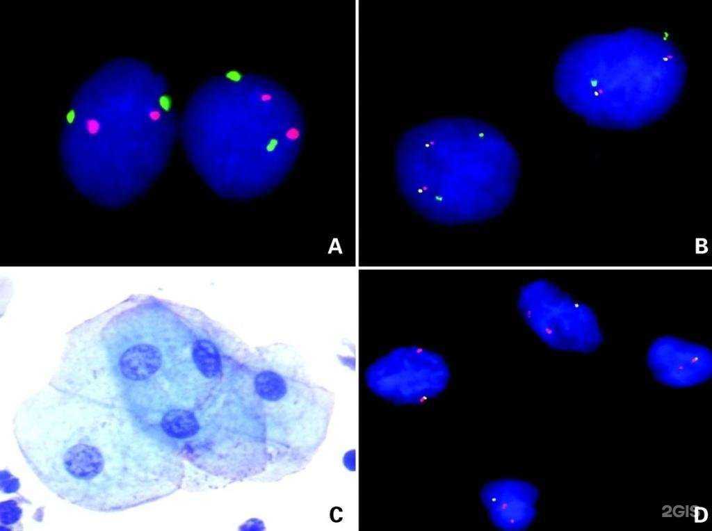 Отзывы на компанию Ставропольский краевой клинический консультативно-диагностический центр в Ставрополе c фото