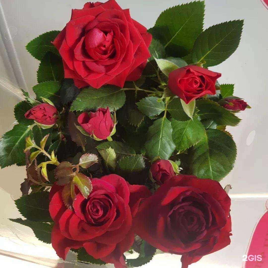 Отзывы на компанию Юнифлор в г. Тюмень c фото