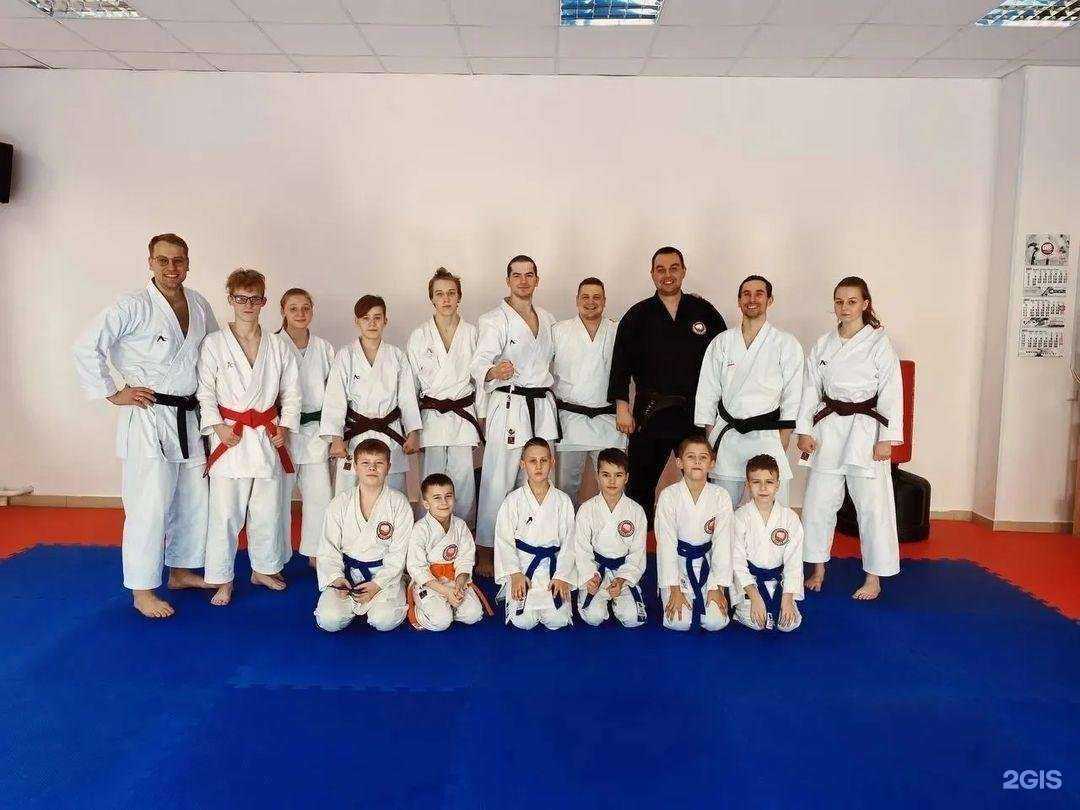 Отзывы на компанию Будокан Атэми в Пскове c фото