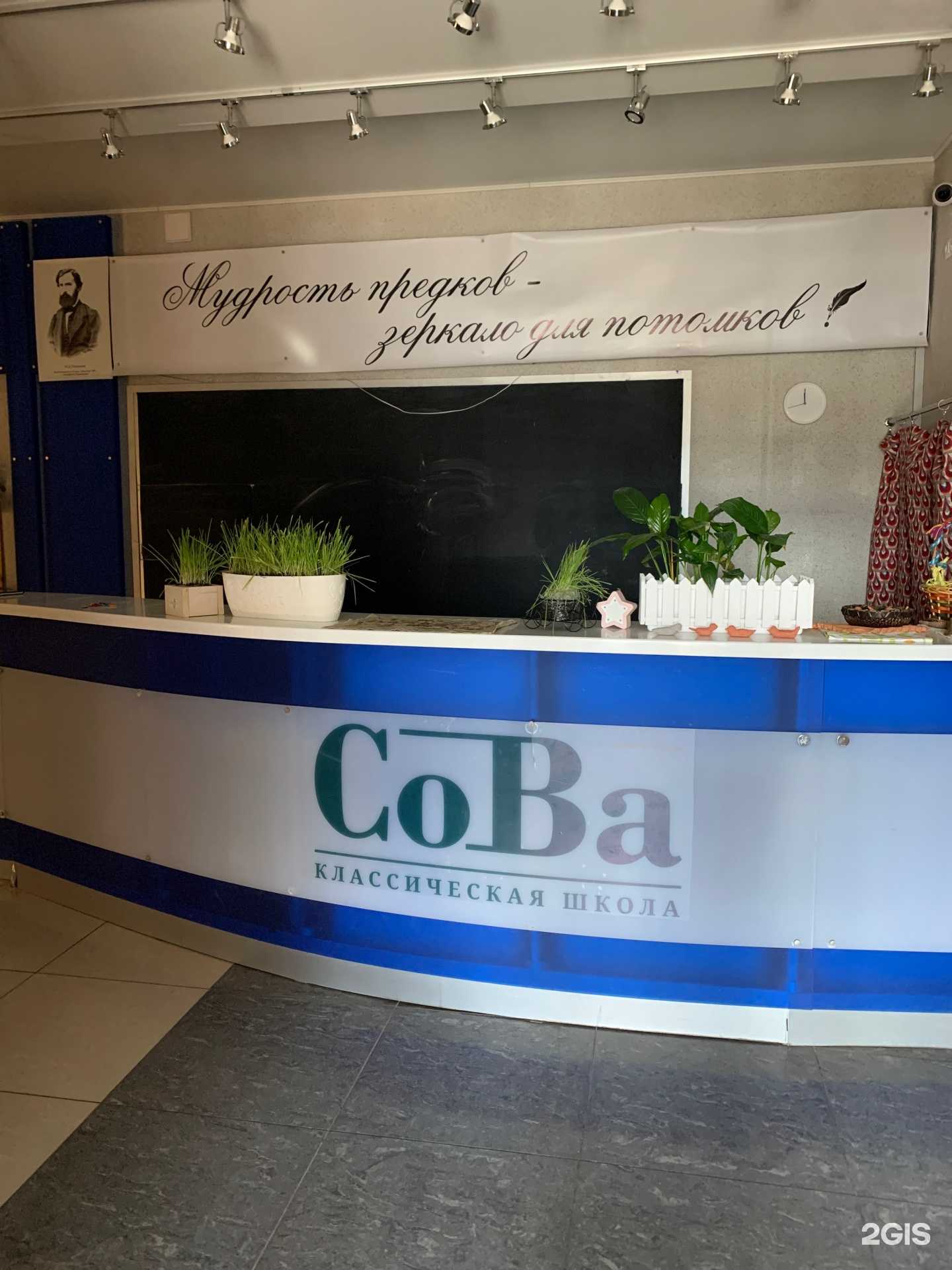 Отзывы на компанию Сова в Владимире c фото