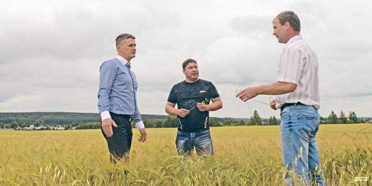 Отзывы на компанию Агрохим-ХХI в Ульяновске c фото