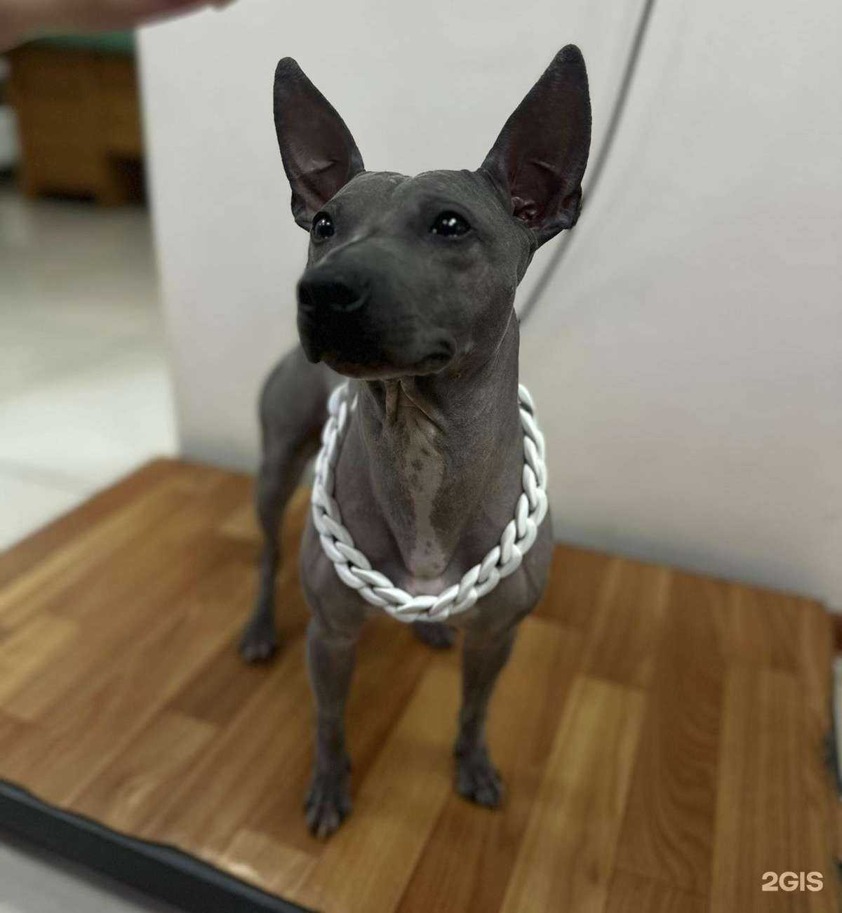 Отзывы на компанию Светиго в Северске c фото