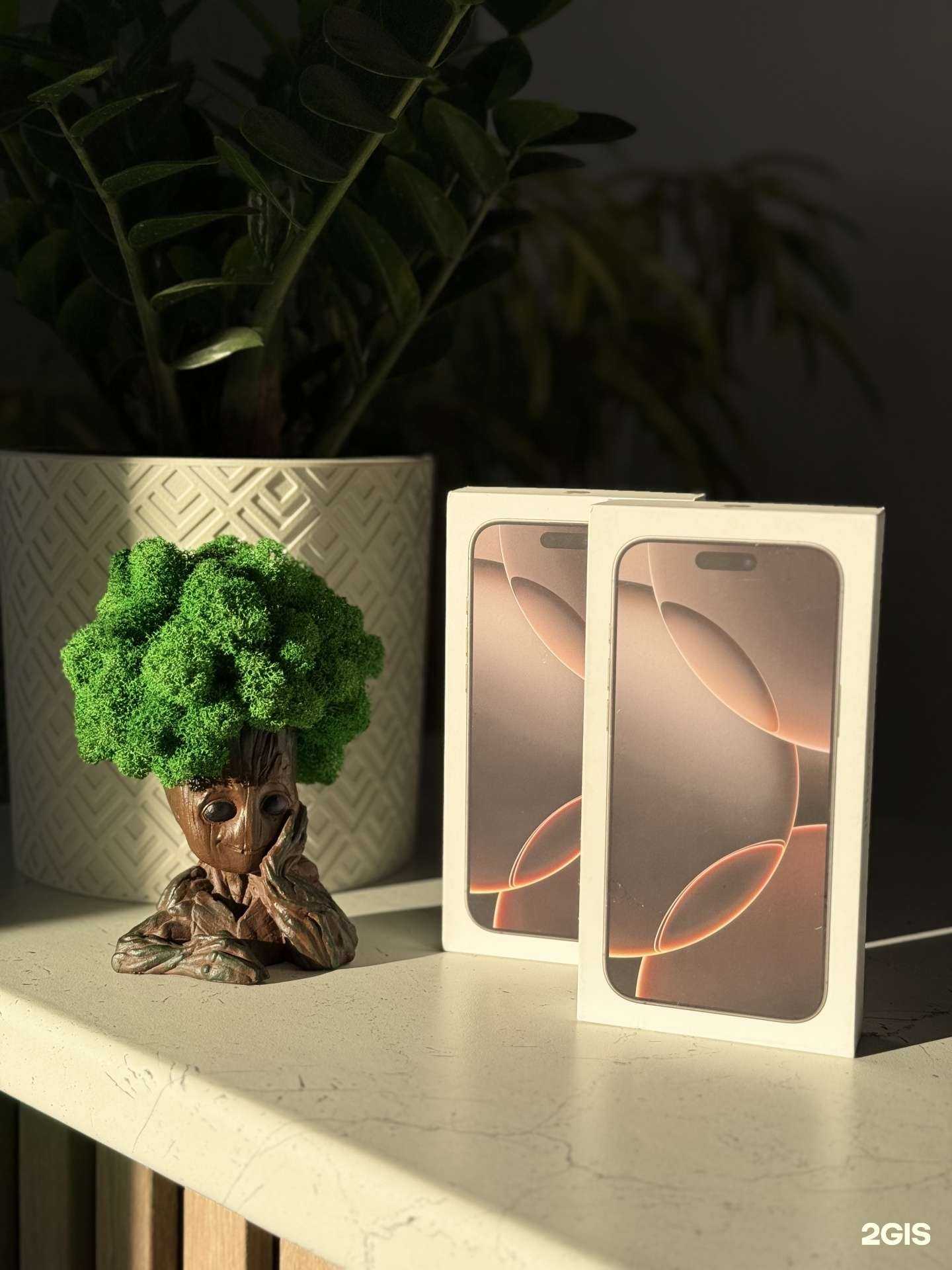 Отзывы на компанию Macintosh в г. Ростов-на-Дону c фото