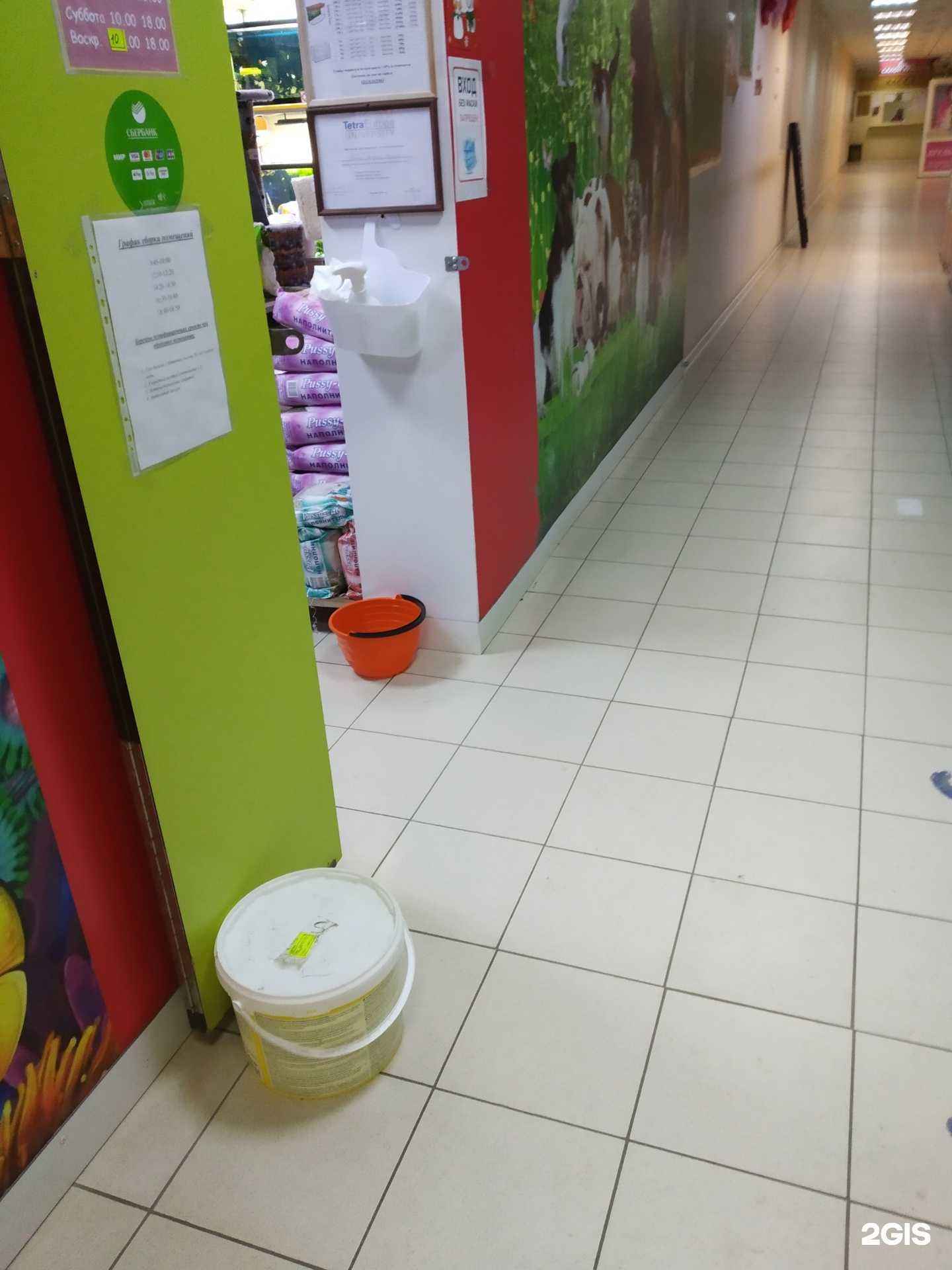 Отзывы на компанию Осьминожка в г. Тамбов c фото