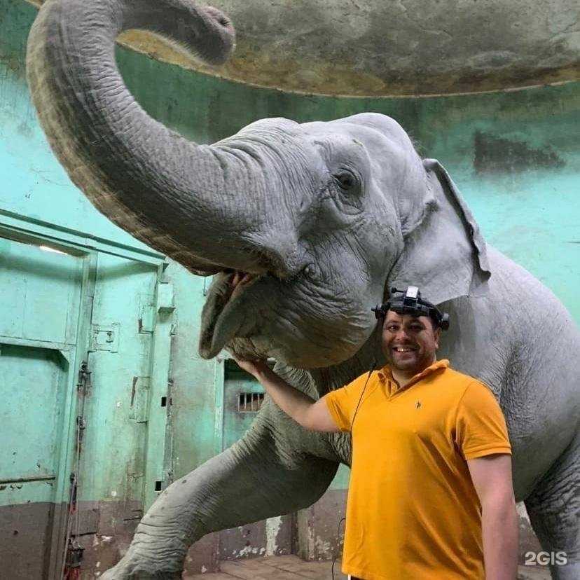 Отзывы на компанию Дойче Вет в г. Пермь c фото