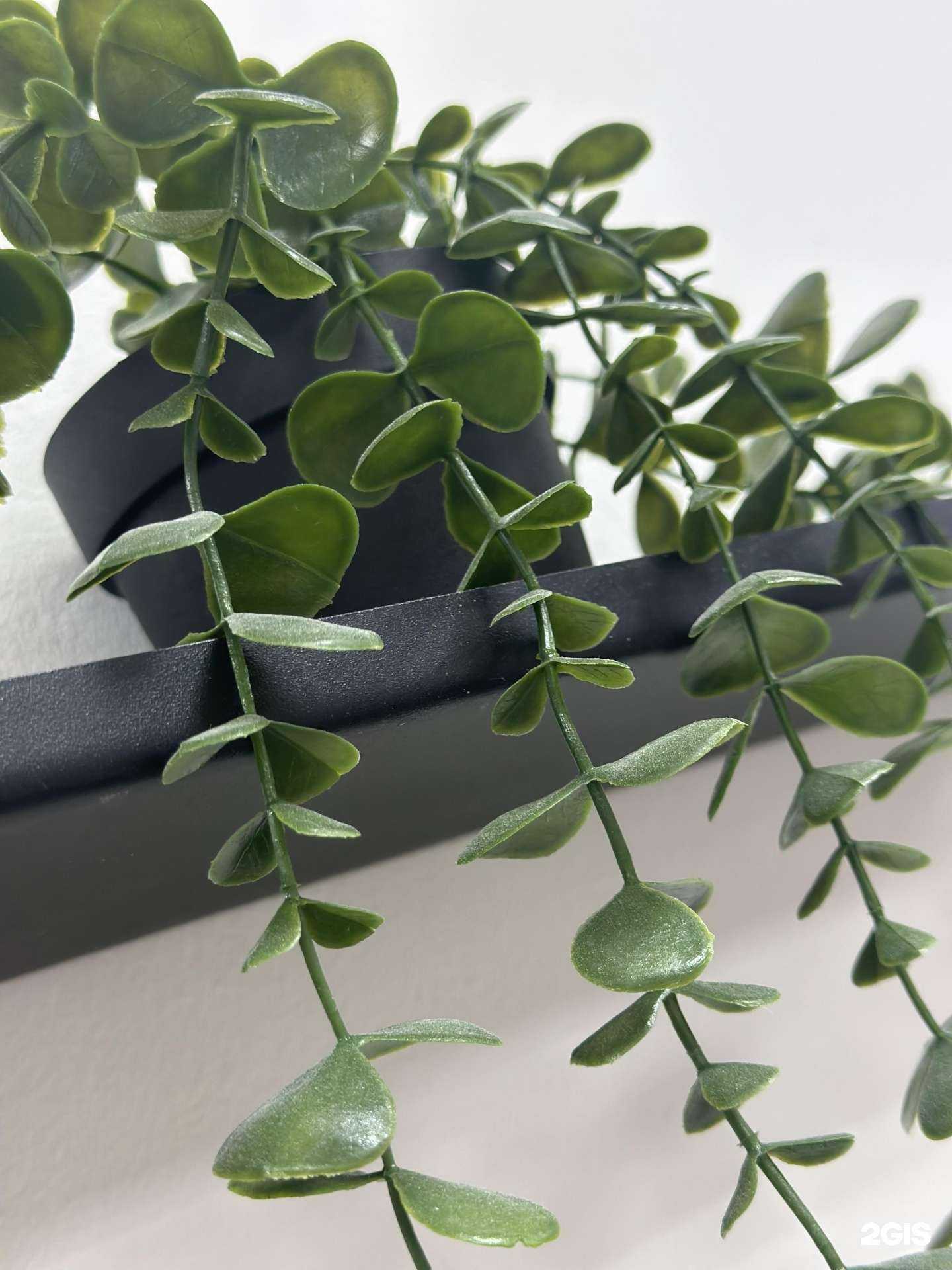 Отзывы на компанию Relax beauty SPA в г. Ростов-на-Дону c фото