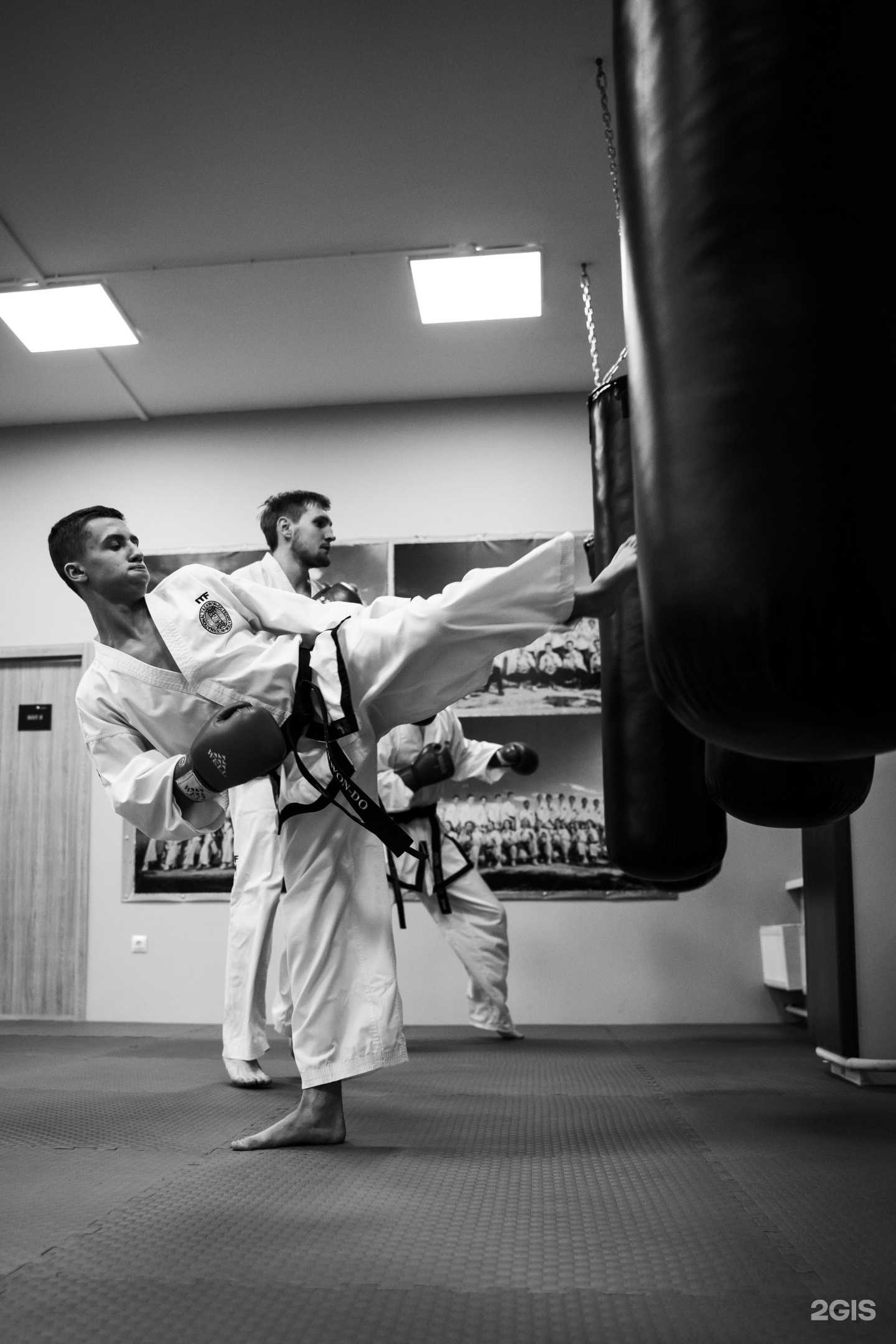 Отзывы на компанию Боец в г. Новороссийск c фото