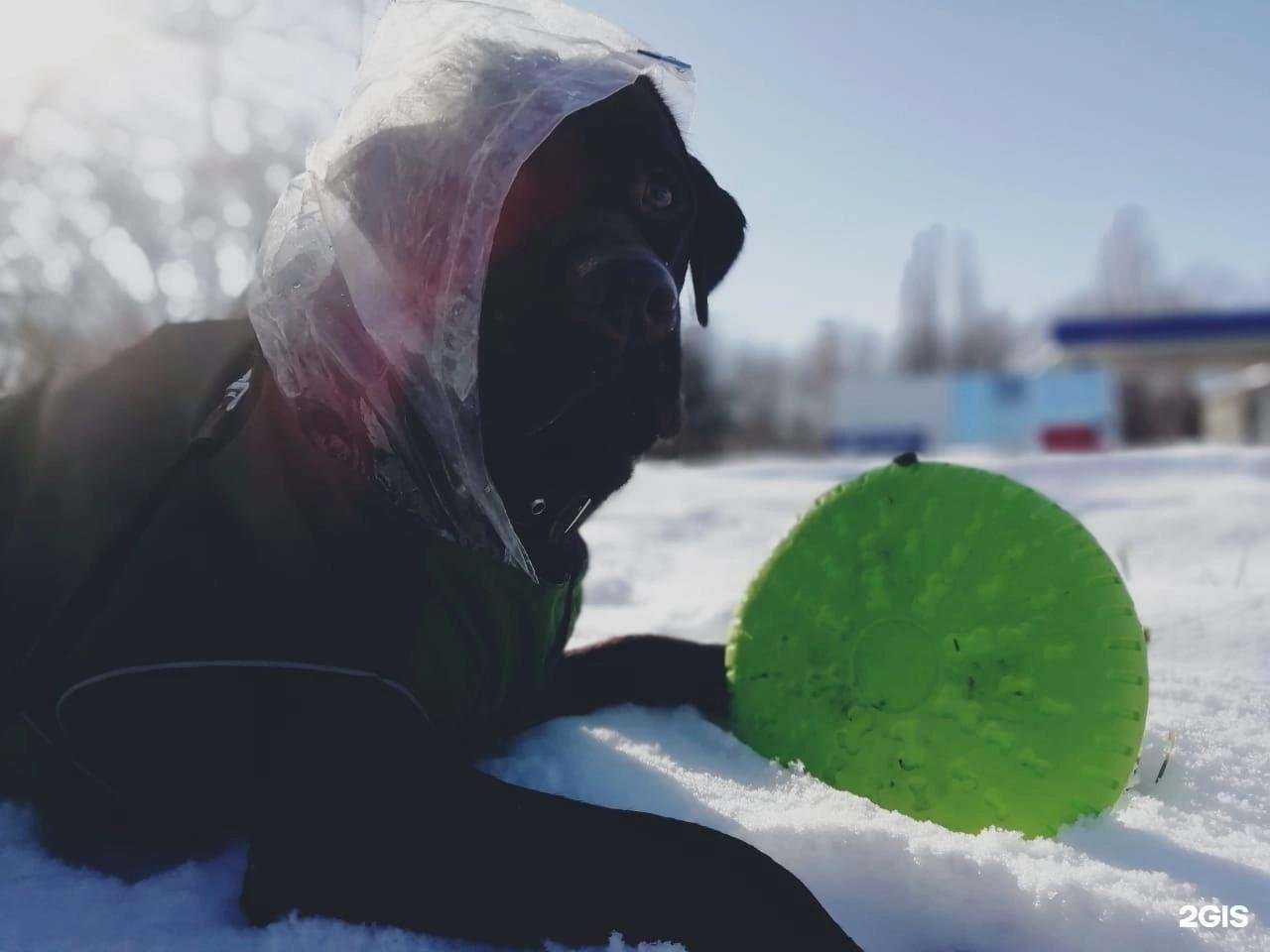 Отзывы на компанию Доктор c в Новороссийске c фото