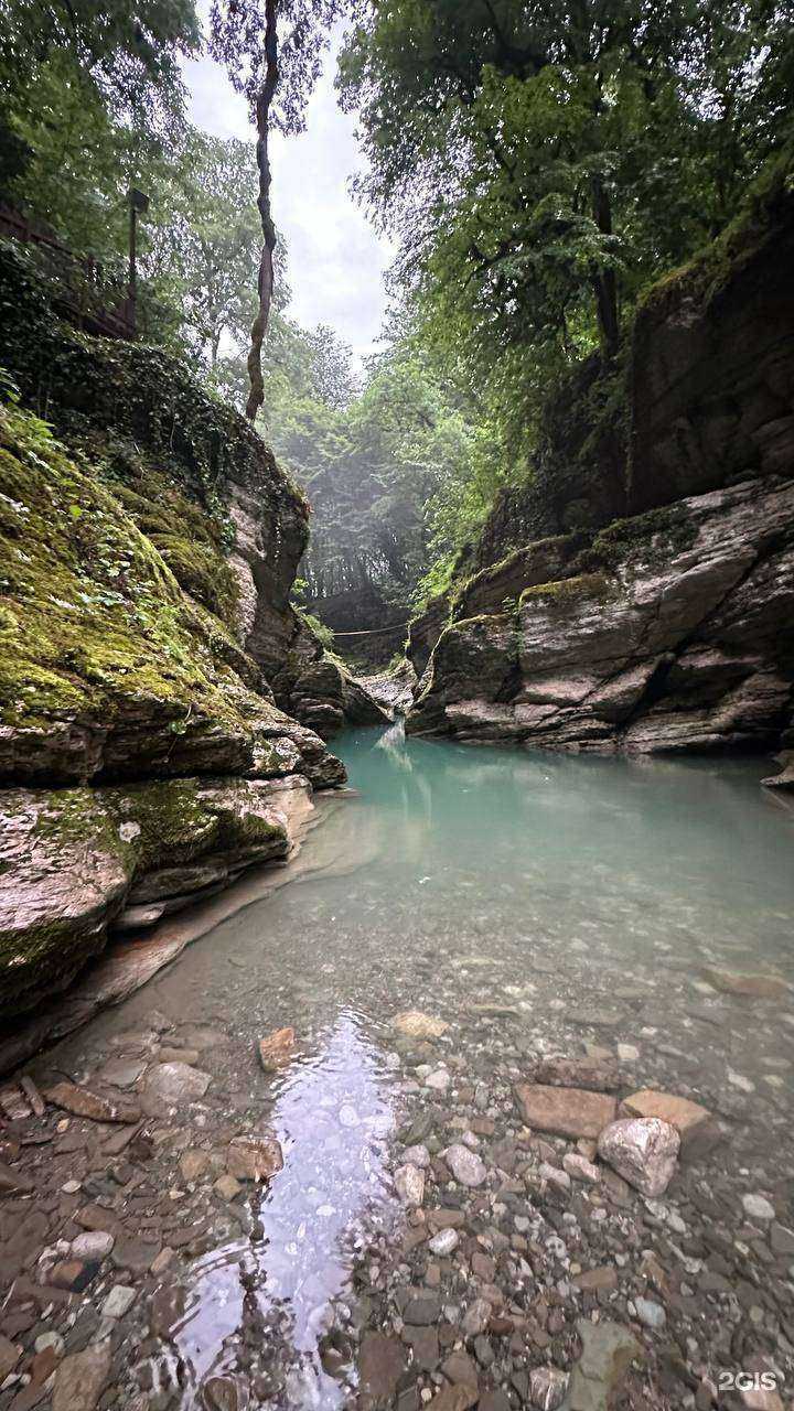 Отзывы на компанию Тур Вояж  в Сочи c фото