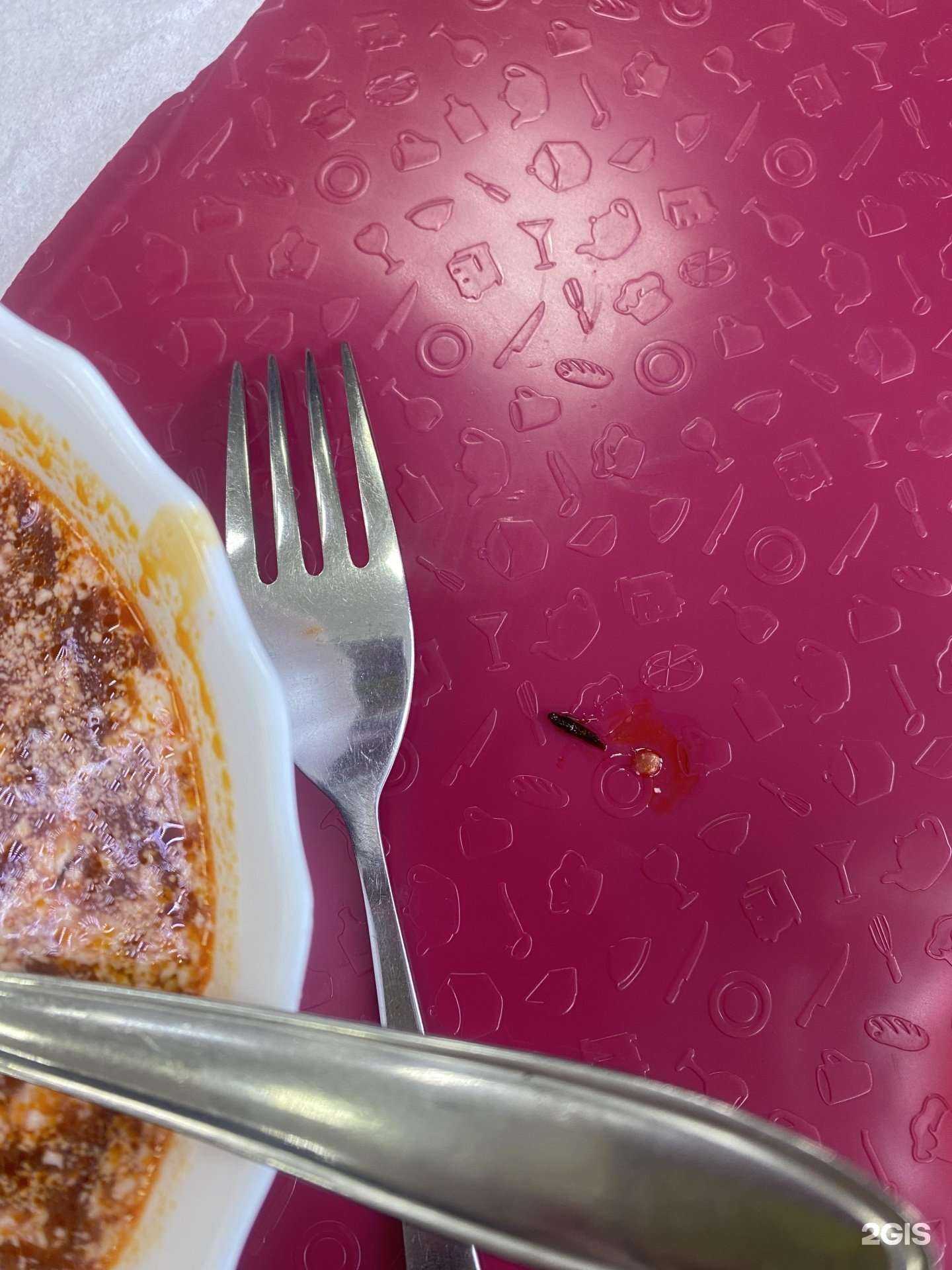 Отзывы на компанию Съем слона в Красноярске c фото