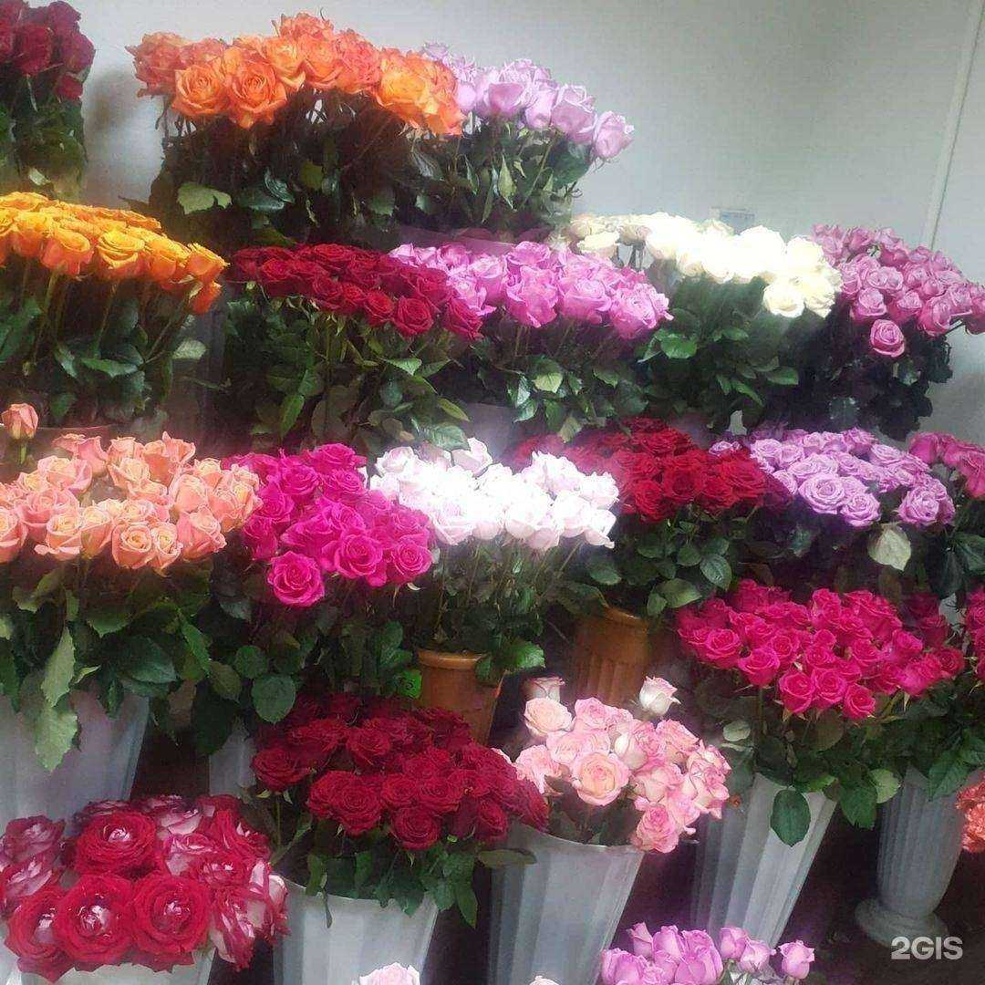 Отзывы на компанию Мир цветов в Майкопе c фото