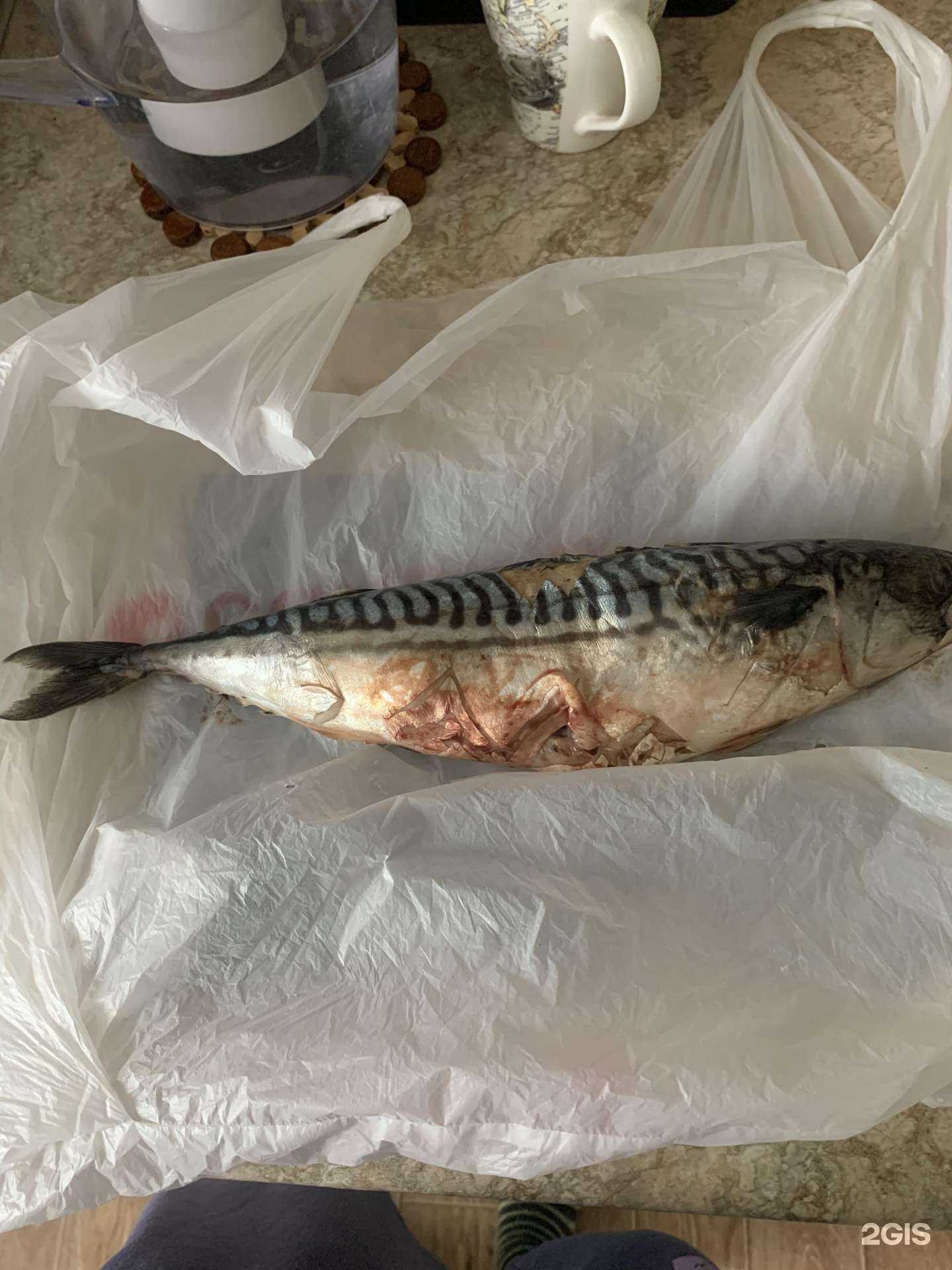 Отзывы на компанию Рыбный мир 55 в Омске c фото