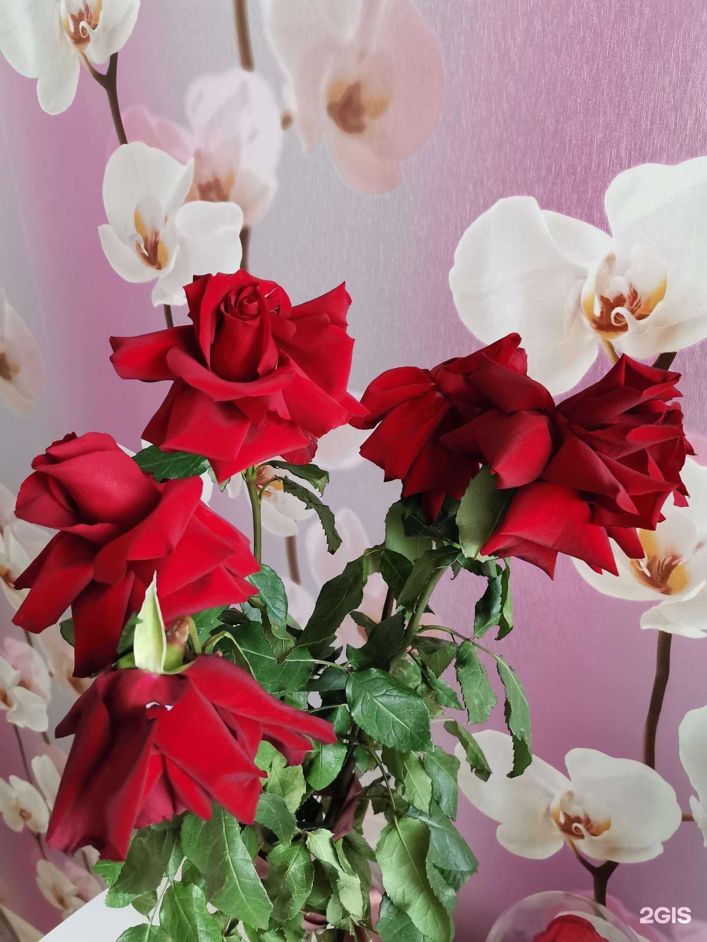 Отзывы на компанию Закбук в г. Нижний Новгород c фото