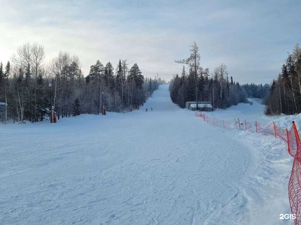Отзывы на компанию Кедр в г. Новоуральск c фото