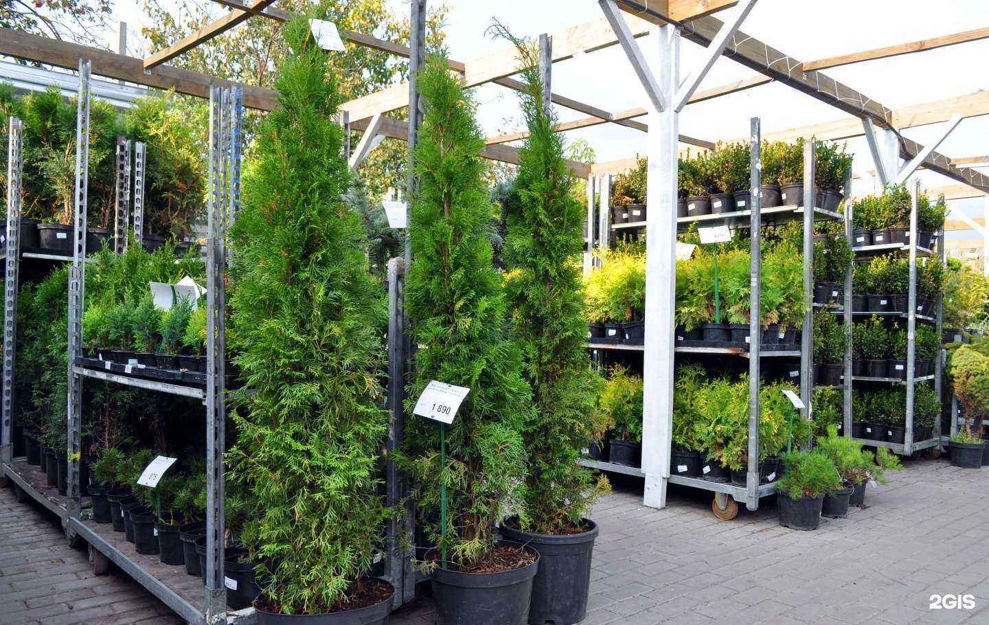 Отзывы на компанию Хомяк в г. Тула c фото