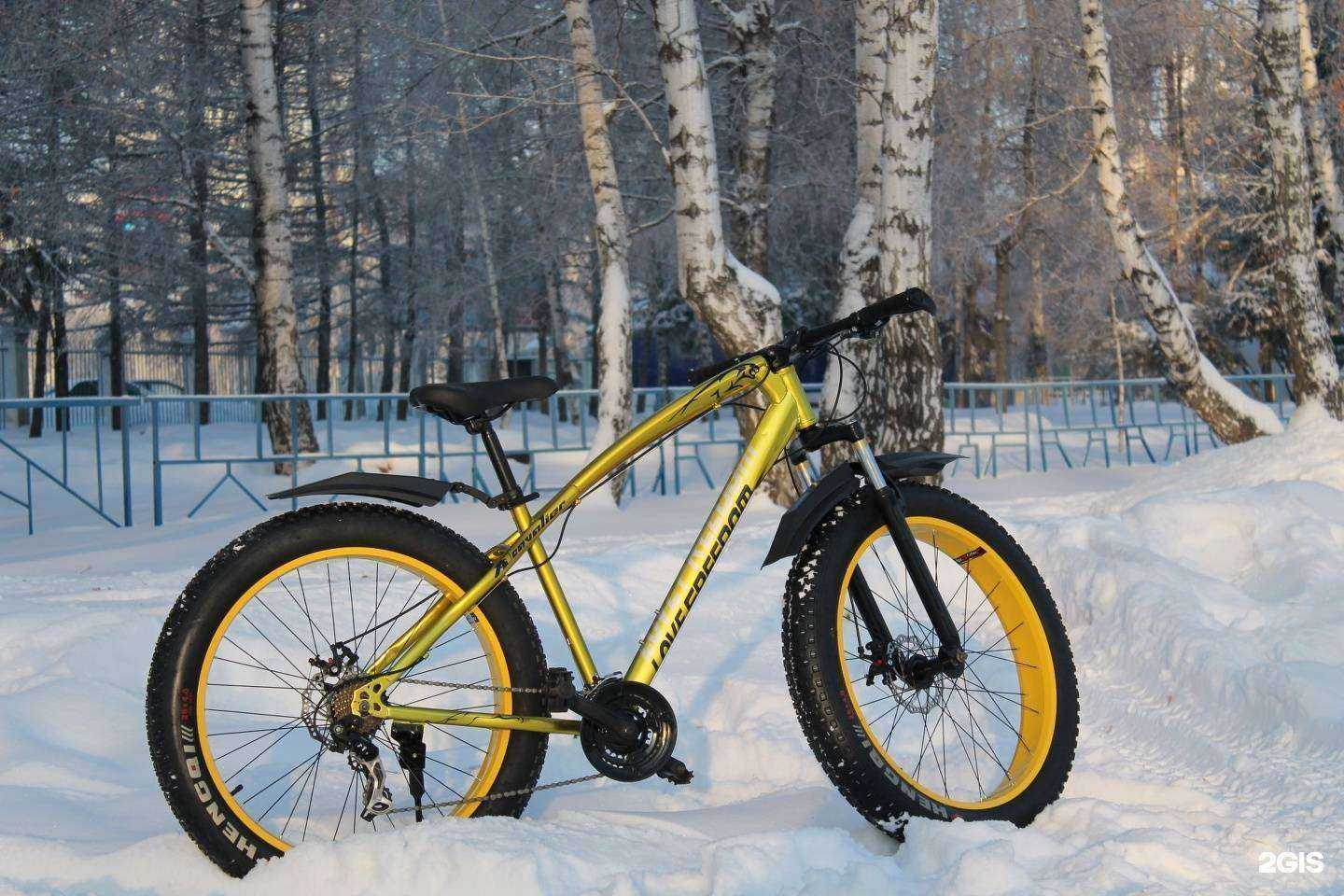 Отзывы на компанию Компания по прокату велосипедов в г. Омск c фото