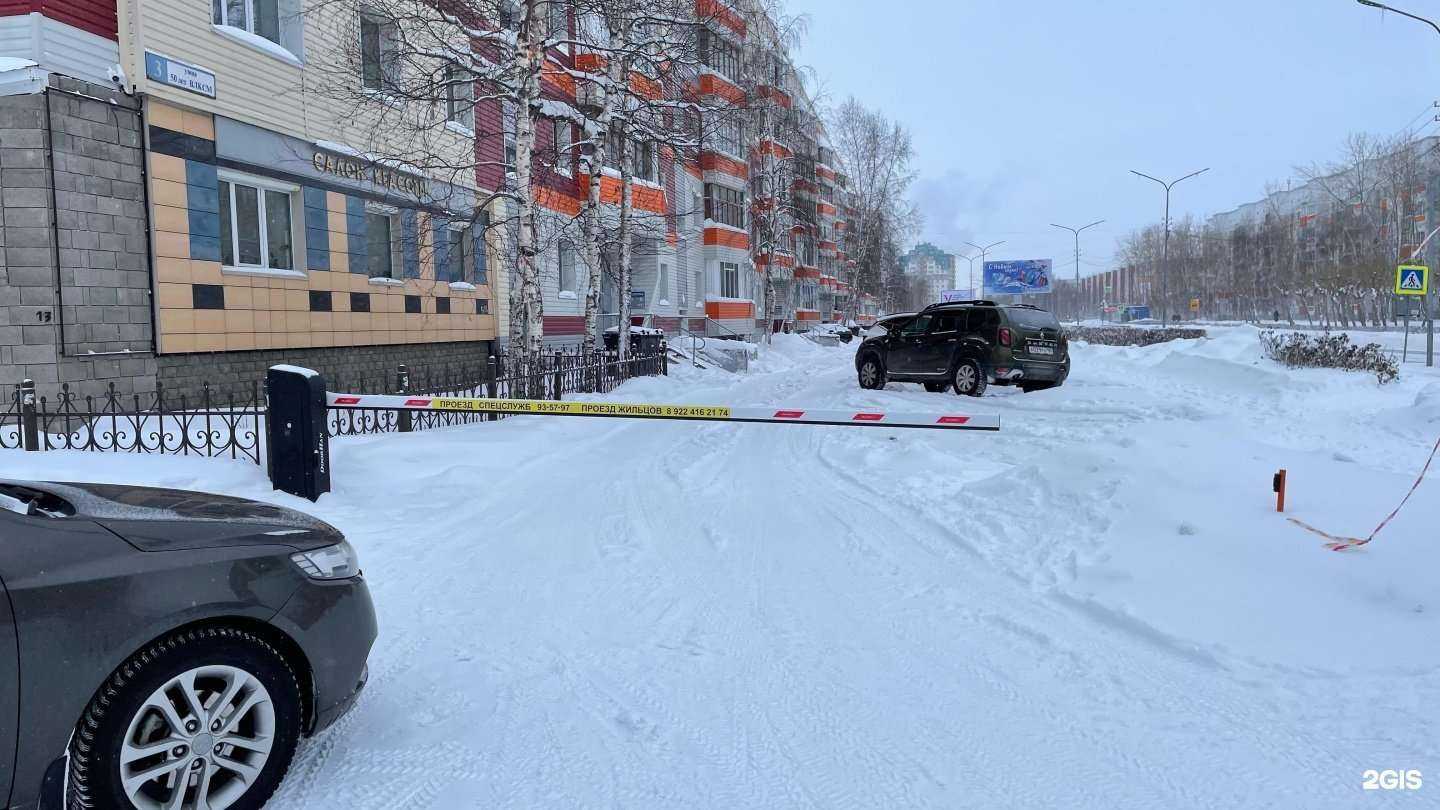 Отзывы на компанию Четыре лапы в Сургуте c фото