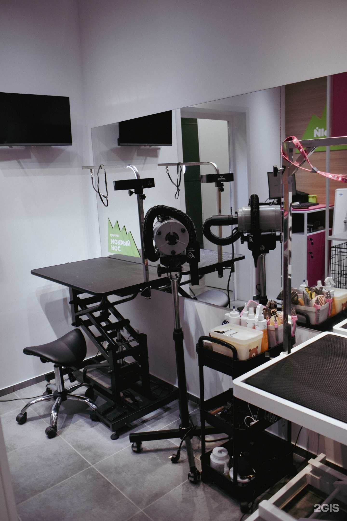 Отзывы на компанию Мокрый нос в г. Новосибирск c фото