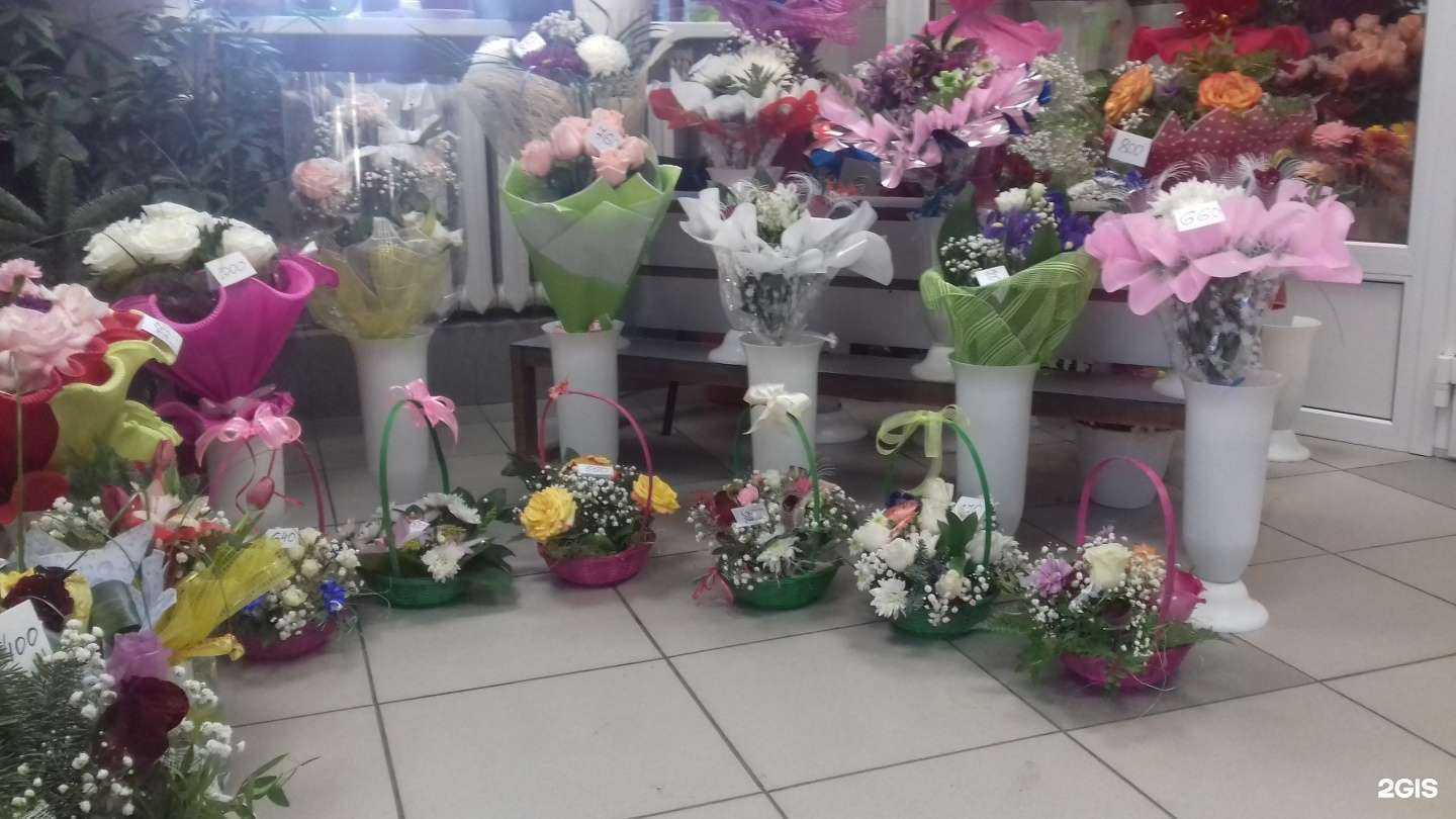 Отзывы на компанию Магнолия в Кургане c фото