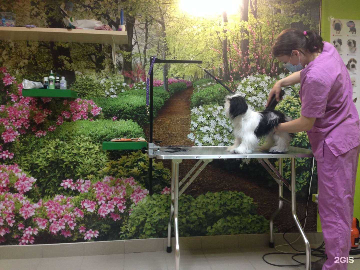 Отзывы на компанию Грум будка в г. Краснодар c фото