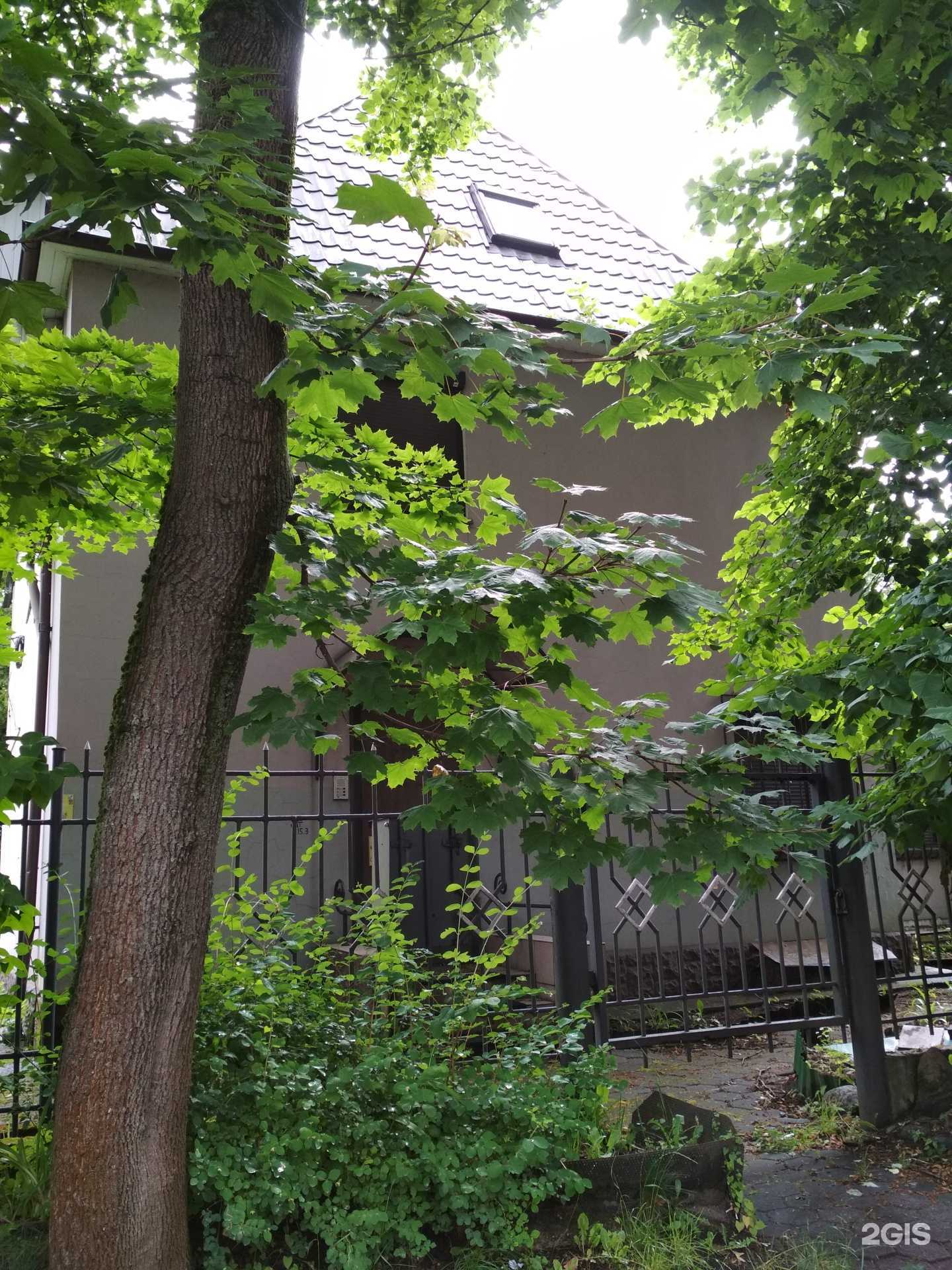 Отзывы на компанию CosmoКвест в Калининграде c фото - фотография 2 из 2