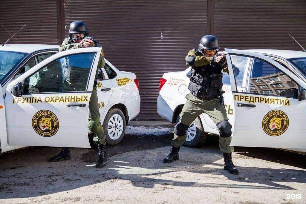 Отзывы на компанию Рысь в г. Екатеринбург c фото