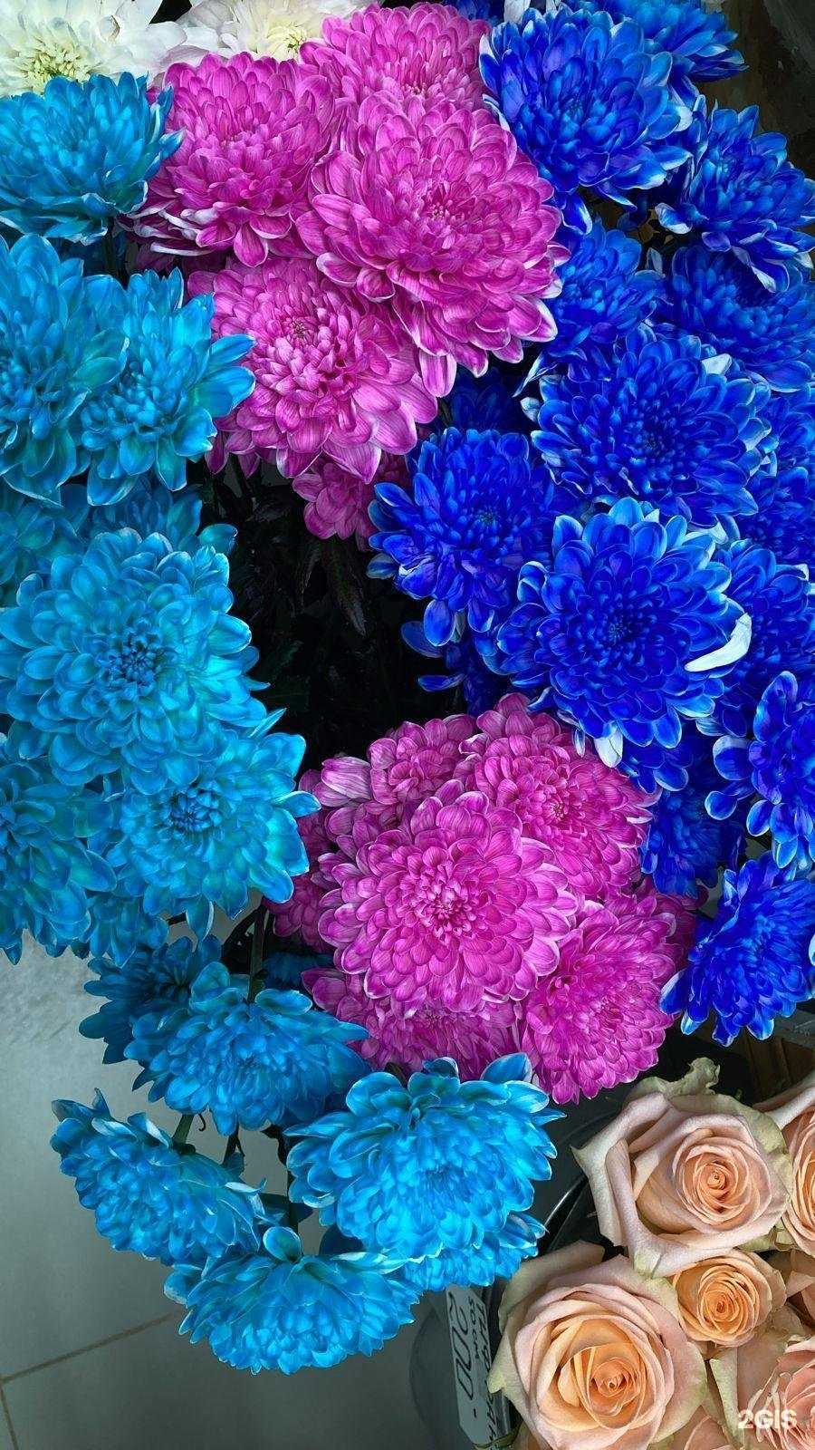 Отзывы на компанию Магазин цветов в г. Челябинск c фото