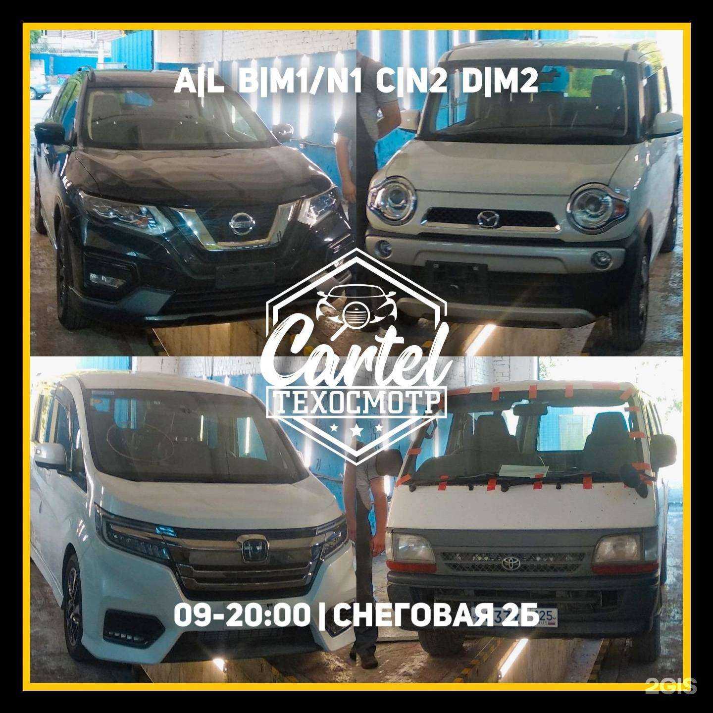 Отзывы на компанию Картель в Владивостоке c фото