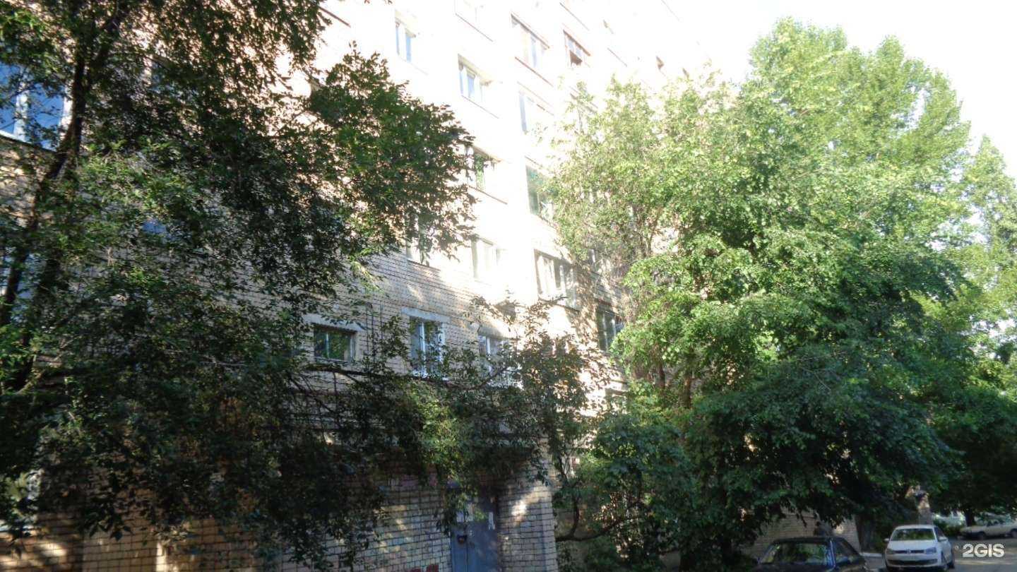 Отзывы на компанию Пух и пёрышко в Саратове c фото - фотография 2 из 2