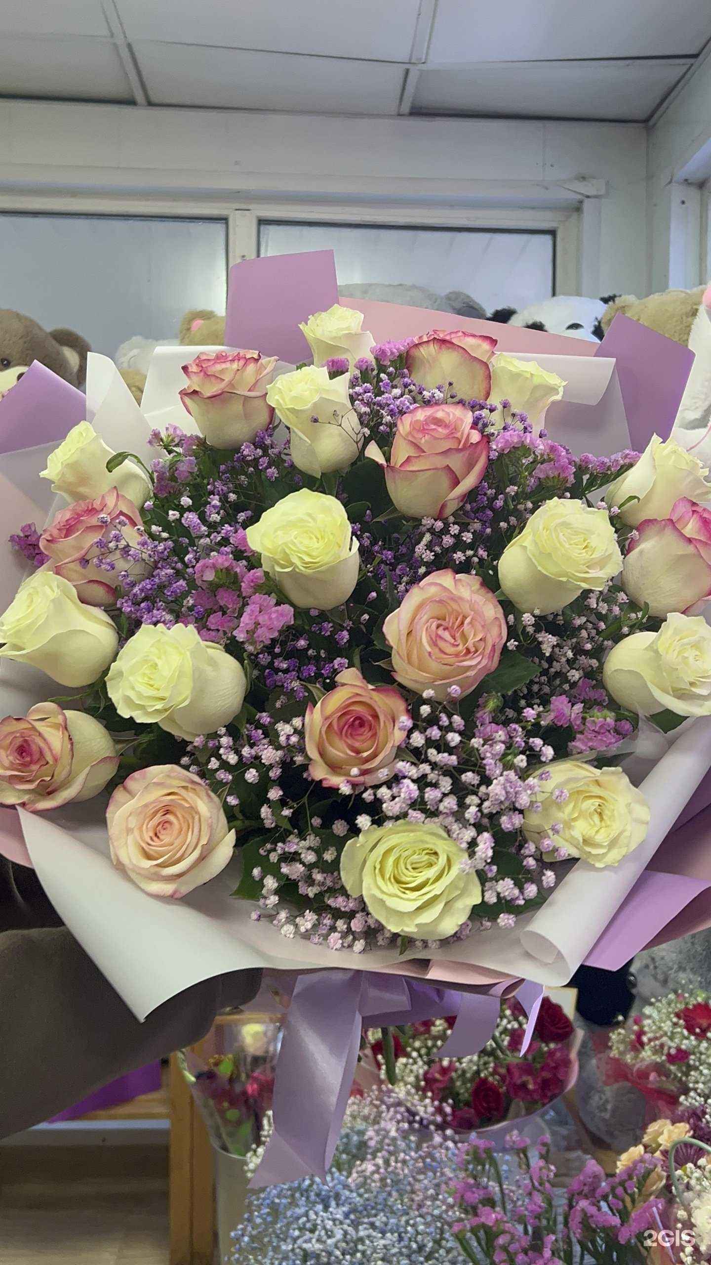 Отзывы на компанию Каталея в г. Новокузнецк c фото