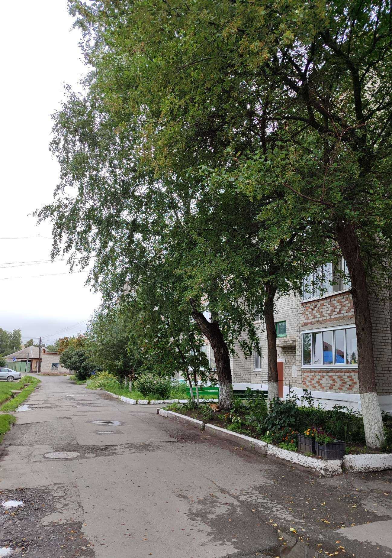 Отзывы на компанию Фармленд в Ялуторовске c фото - фотография 2 из 2