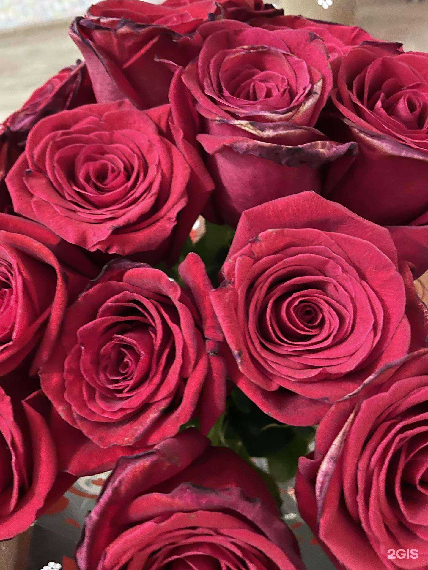 Отзывы на компанию Мари Флор в Красноярске c фото