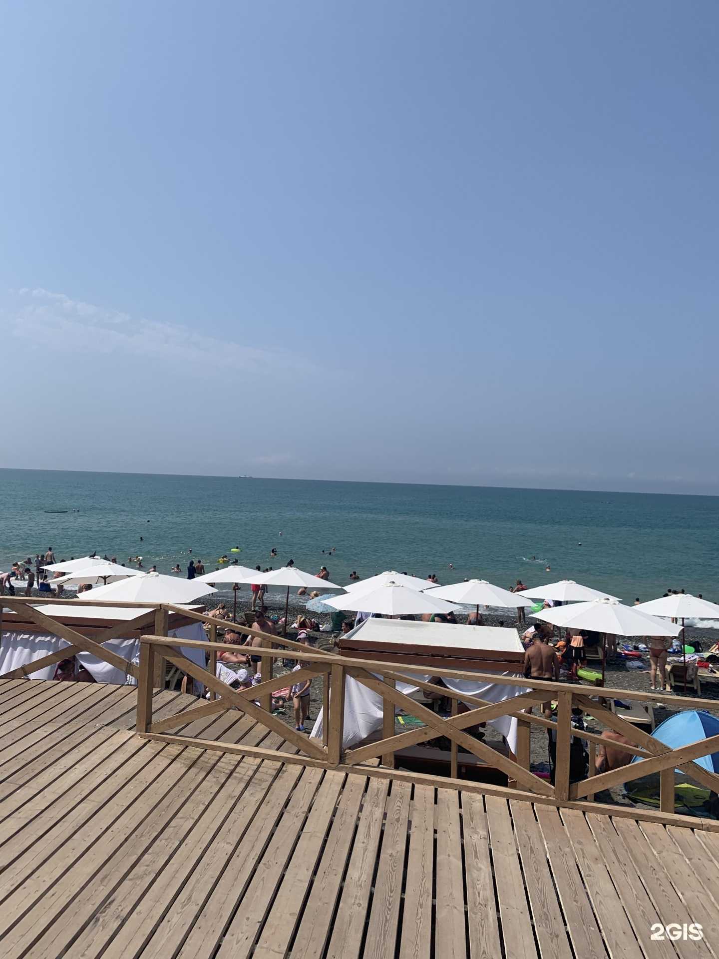 Отзывы на компанию Пальма в Сочи c фото