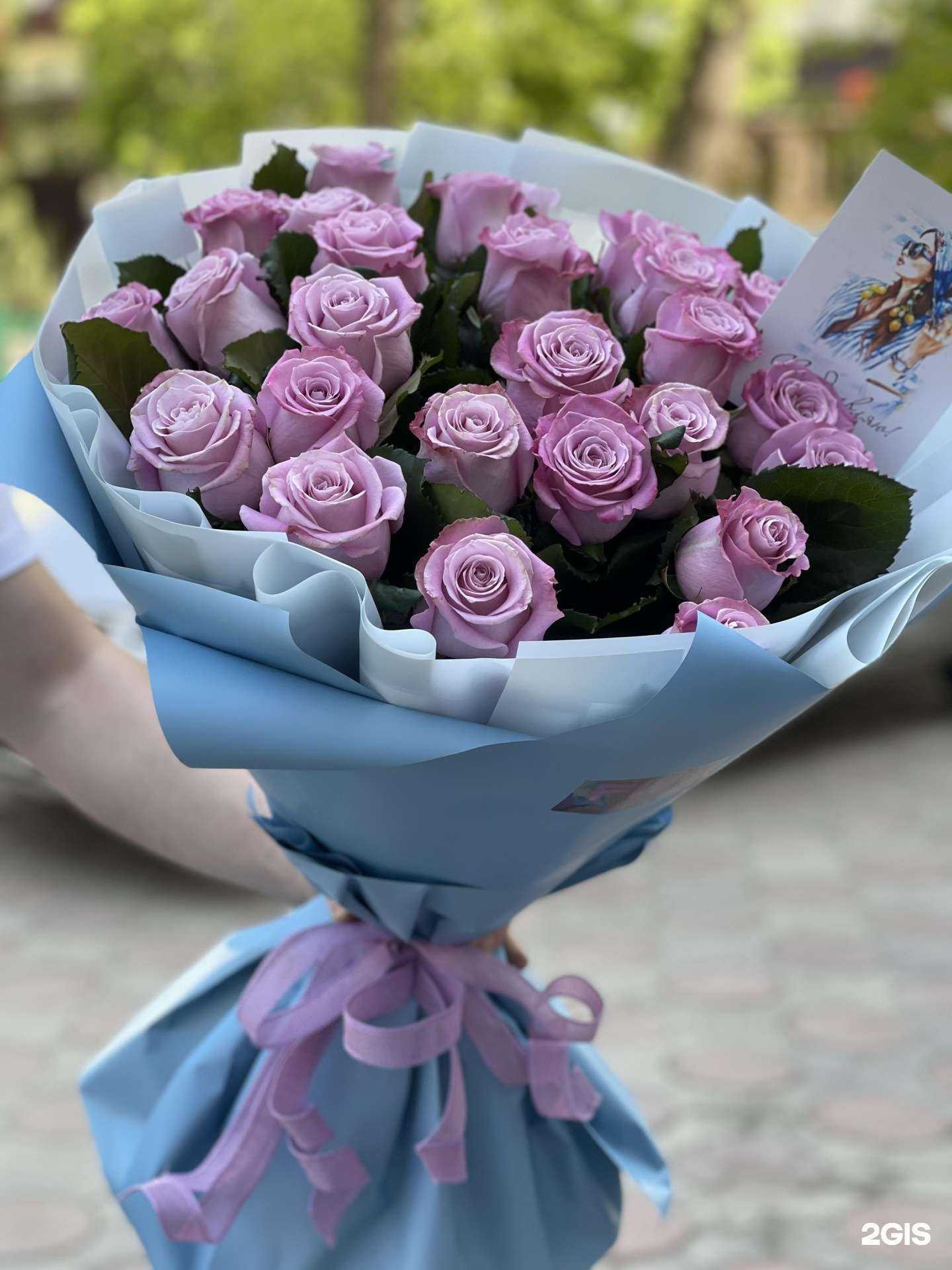 Отзывы на компанию FIFI в Грозном c фото