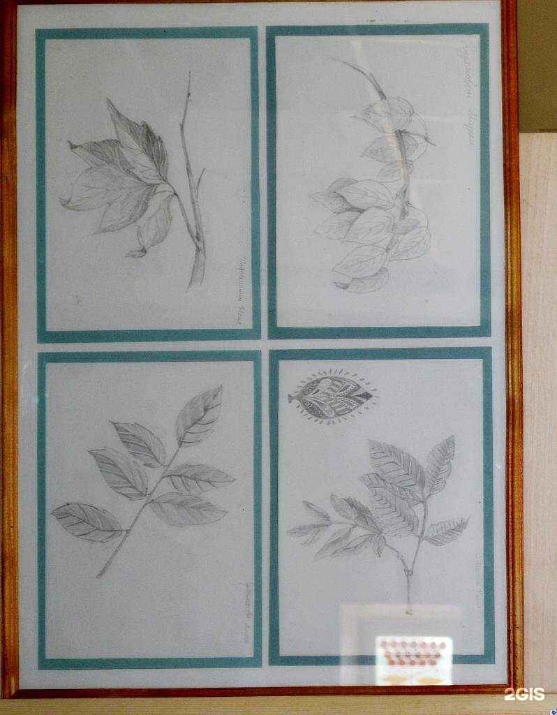 Отзывы на компанию Детская художественная школа №1 им. П.Ф. Рябова в Саранске c фото