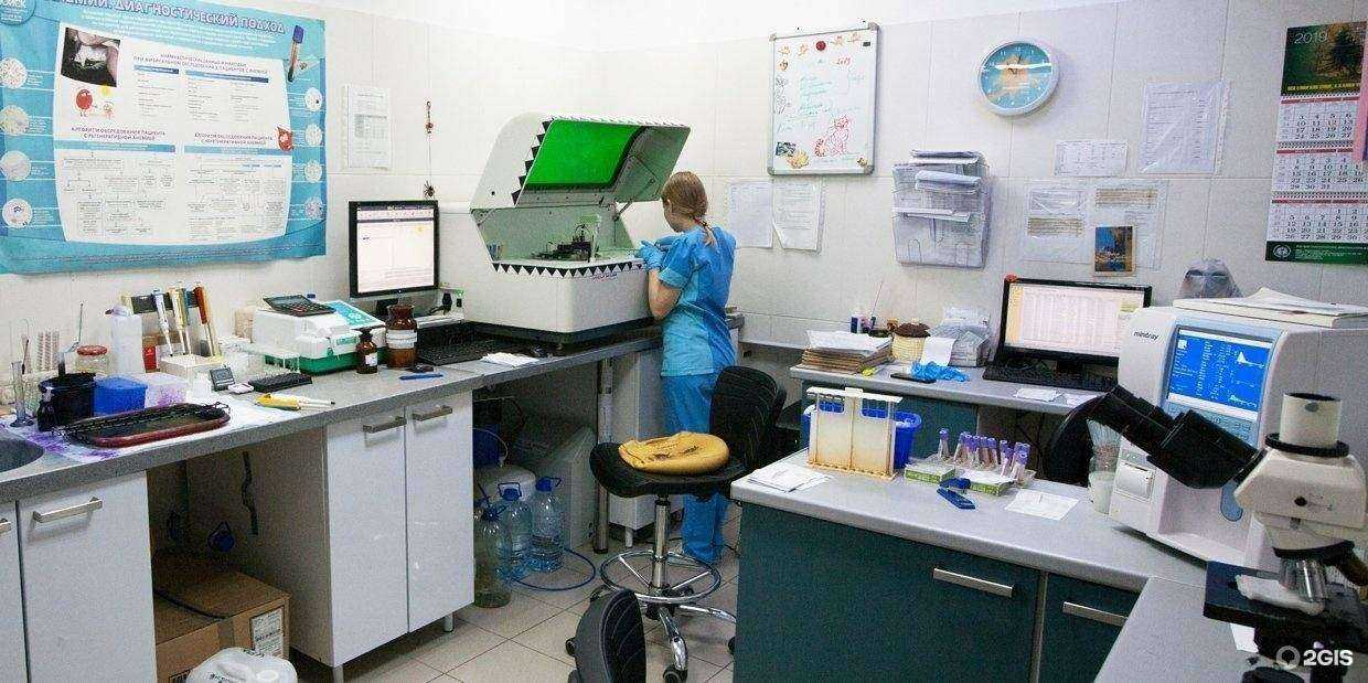 Отзывы на компанию Константа в г. Отрадное c фото