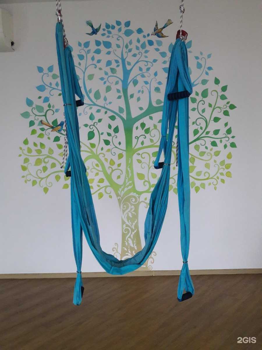 Отзывы на компанию Gravity в г. Тюмень c фото