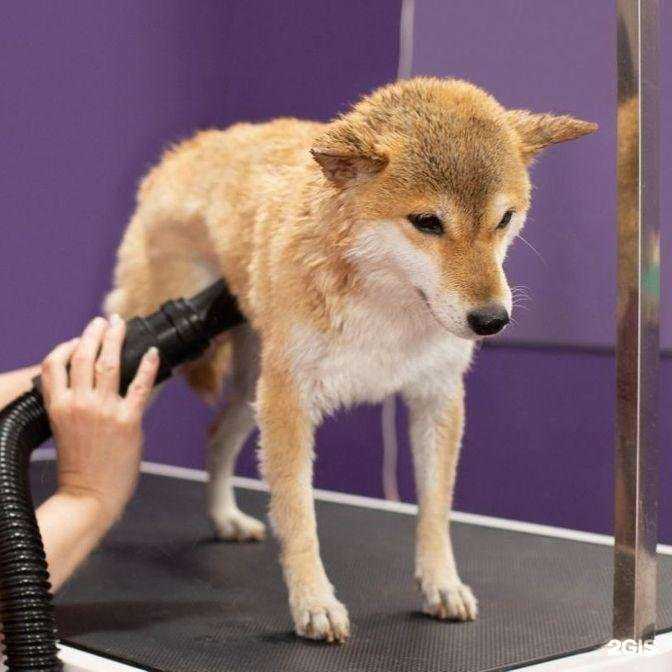 Отзывы на компанию VikiViki в г. Екатеринбург c фото