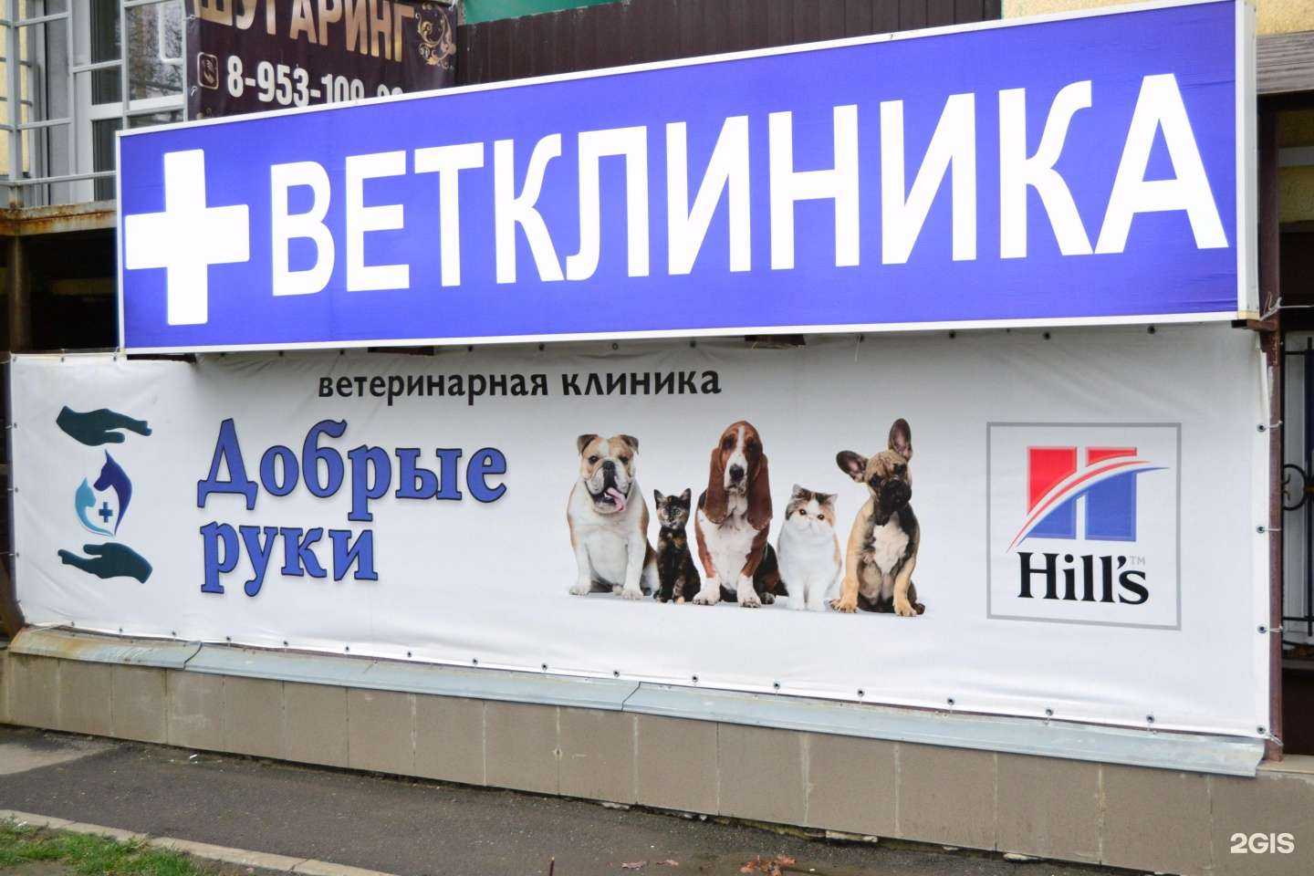 Отзывы на компанию Добрые руки в Краснодаре c фото