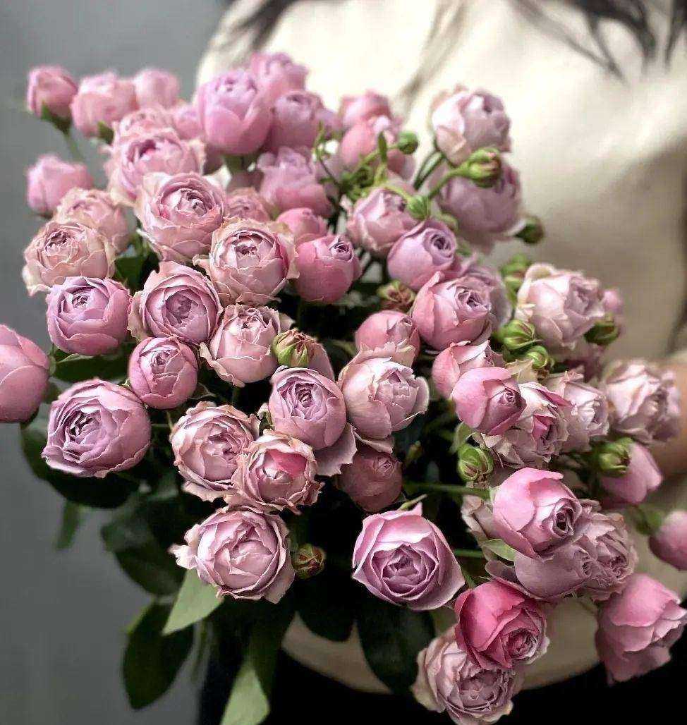 Отзывы на компанию Флора в г. Озёрск c фото